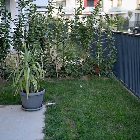 #Minehouse Apartment Timisoara Bagian luar foto