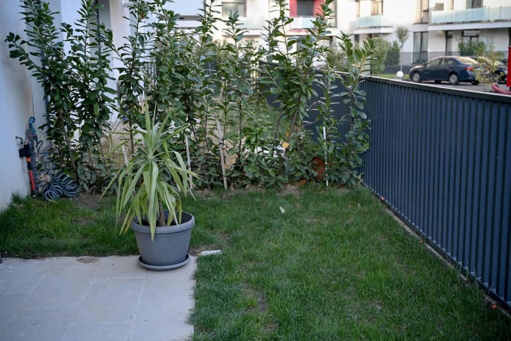 #Minehouse Apartment Timisoara Bagian luar foto